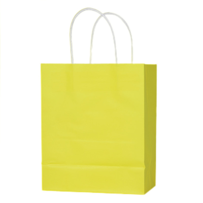 150g Eco Friendly Kraft Paper Bag For Shopping Embossing Debossing, bag with handle